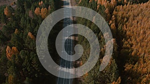 Road and moving cars between colorful autumn forest