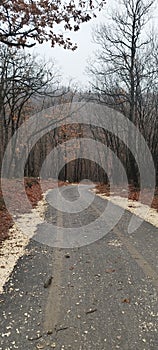 Road with mud tracks of a car