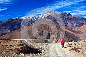 Road from Muktinath to Jomsom, Nepal