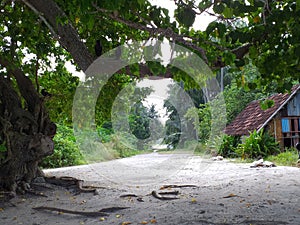 this is the road of my island .inthe write side there is a house