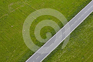 Road in nature