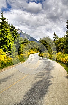 Road near Bariloche