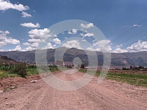 road near crops and bushes