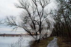 Road near dark winter forest close to melting river