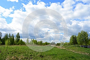 Road near the forest. Deciduous trees, young foliage and grass. Cloudy sky