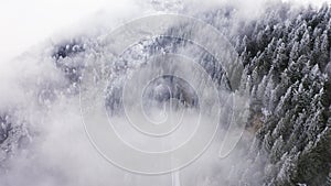 Road near snowy pine woods backward aerial in cloudy bad weather.Foggy mountain forest with ice frost covered trees in