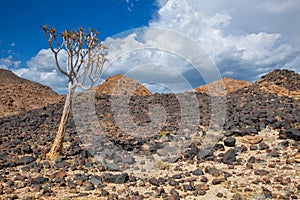 Road near Solitaire, namibia, Africa