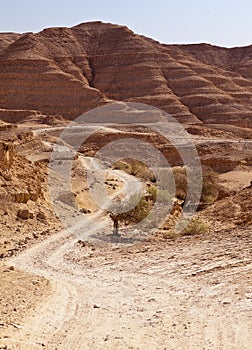 Road Through Negev Desert Hills photo