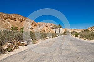 Road in the Negev desert with two palms