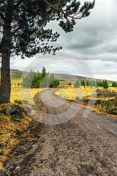 Road next to Cotopaxi volcano in Ecuador