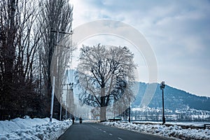 Road next to Dal Lake in winter, Srinagar, Kashmir, India