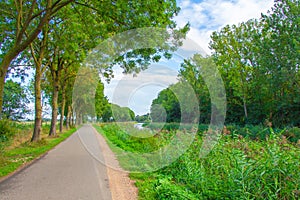 road next to Dutch polder landscape