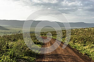 Road in Ngorongoro crater