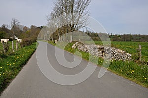 A road in Normandy contryside