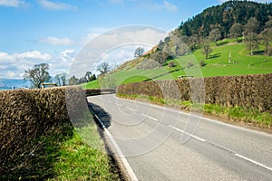 Road through the North Wales countryside