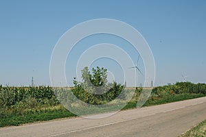 Road in the Odessa region of Ukraine with a view of the windmills