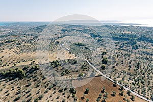 Road through olive plantations on the mountain slopes. Greece. Drone