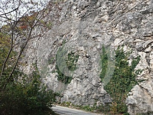 Road in Ovcar - Kablar