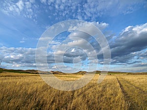 Road over yellow steppe