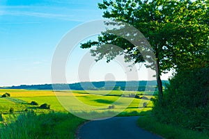 Road overlooking the fields