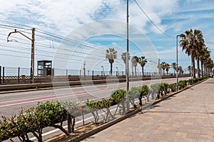 Road with palms and power lines in Vilassar de Mar photo