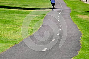 Road in a park