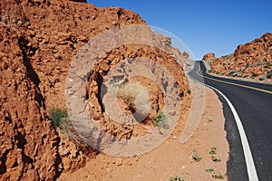 Road through park