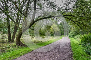The road in the Park