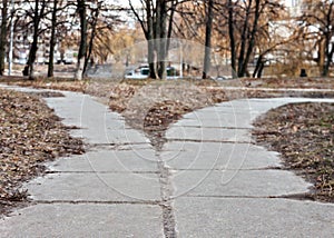 The road in the park diverge in different directions, fork