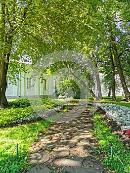 The road in the park between flower beds with coleus and plants with silver leaves, lined with round cut trees on a sunny summer