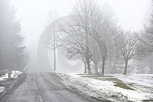 road and park in fog in early spring