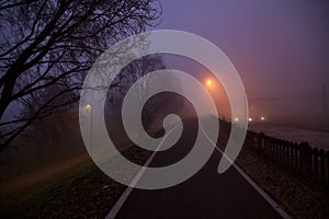 Road in a park on foggy day next to railroad tracks