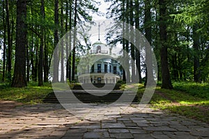 The road in the park to the main house