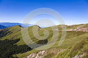 The road pass through the hehuanshan forest Recreation area