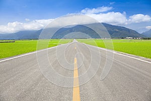 The road pass trough green rice field