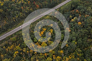 Road Passes Through Autumn Forest