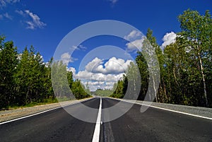 Road passing through the forest