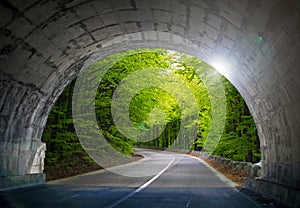 Road passing through the forest seen at the exit of the road tunnel.