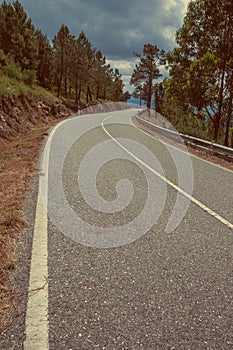 Road passing through hilly landscape covered by forest