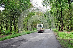 Road passing thru himalayan reserve forest