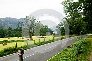 The road past Aira Falls, in Ullswater, in the Lake District.