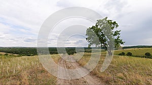 Road past the lone tree, green field, countryside road and beautiful sky.