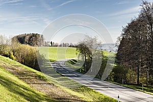 Road between pastures in Switzerland