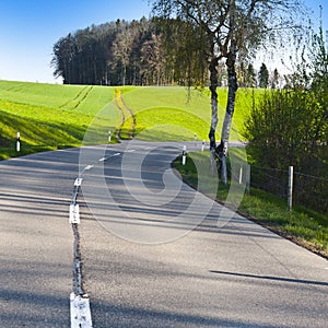Road between pastures in Switzerland