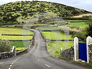 Road and Pastures on Terceira Island in the Azores photo