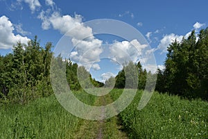 Road, path. Green grass. Blue sky clouds. Forest area