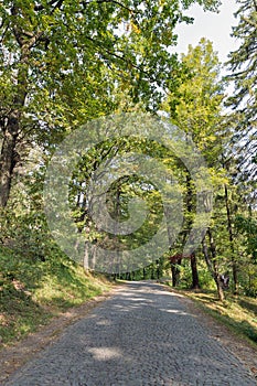 Road paved with cobbles leading to Schonborn Castle. Chynadiyovo, Ukraine.