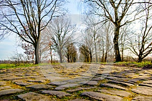 Road paved with paving stones. Old cobblestone way in perspective without cars.