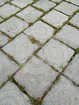 The road is a pavement of square stone slabs. Between the stones, at the seams, green grass grows on the ground.