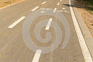 Road for pedestrians and bicycles, bike lane in the park, signposted